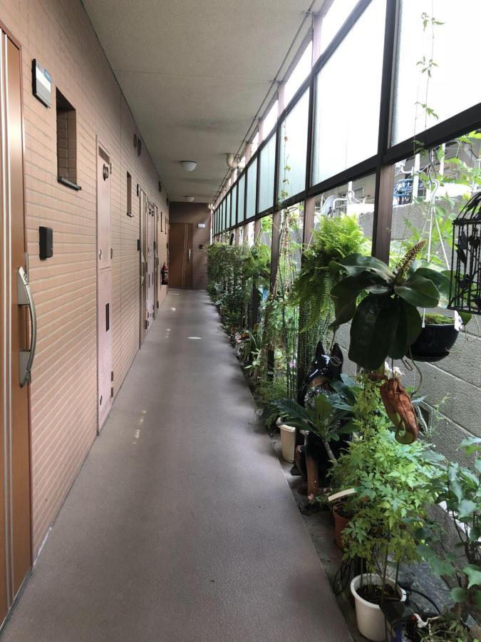 都心の家30 Square Meter King Size Bed With Stepping Rice Tokio Exterior foto