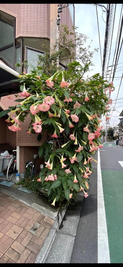 都心の家30 Square Meter King Size Bed With Stepping Rice Tokio Exterior foto